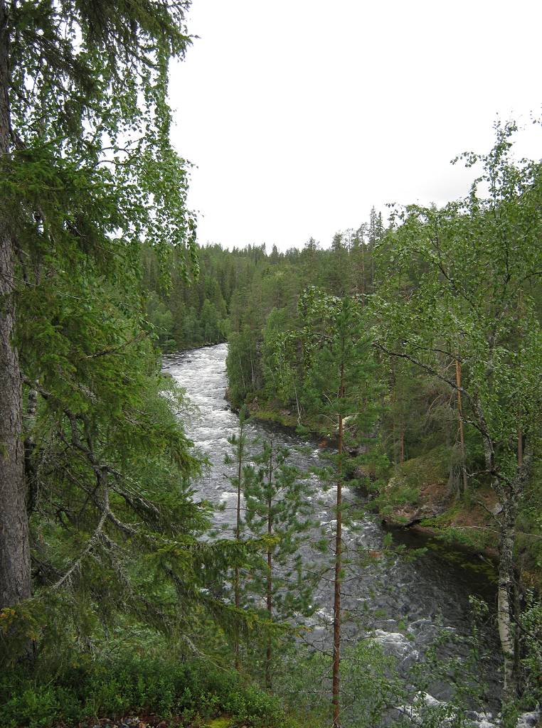 Finnland, Oulanka Nationalpark